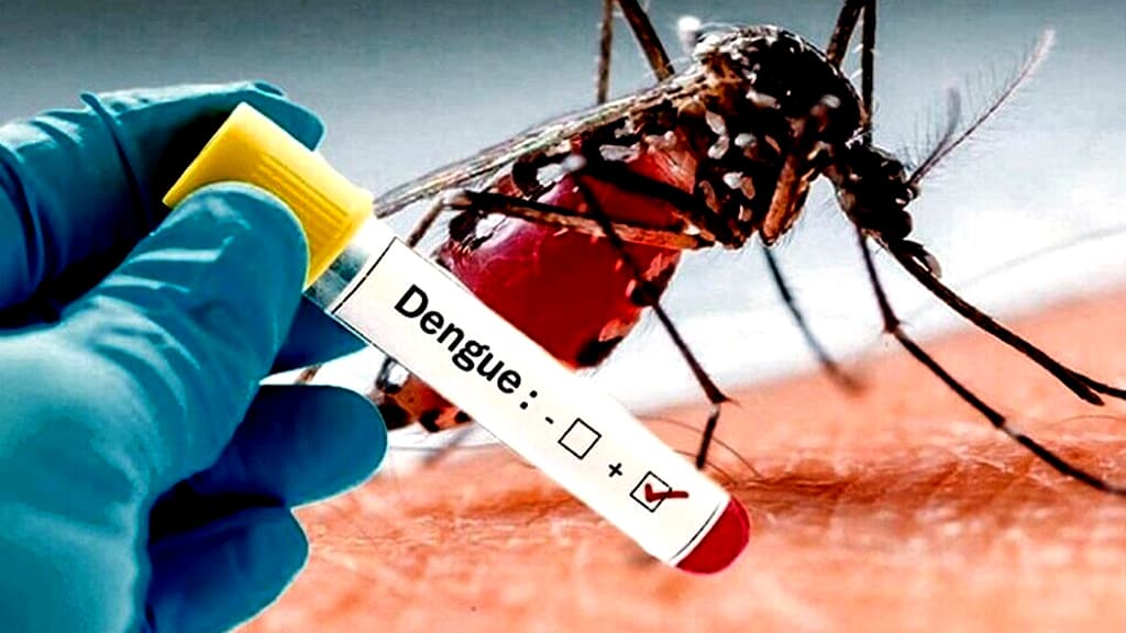 9 casos positivos de Dengue en Intendente Alvear